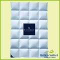 Daunendecke Billerbeck Daune 308 Catalina Kassette II