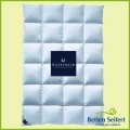 Daunendecke Billerbeck Daune 308 Ambiente Kassette II
