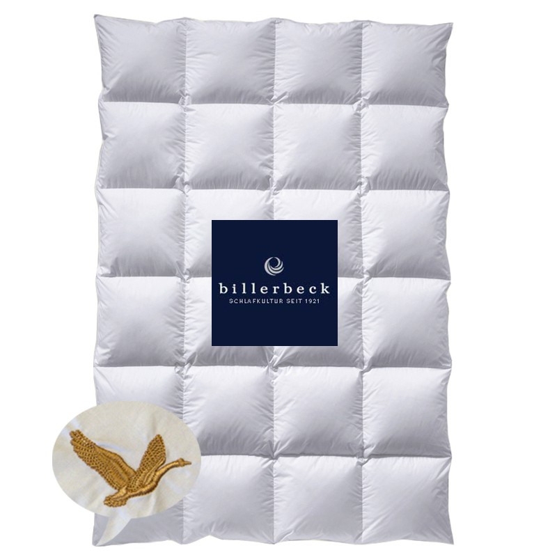 2591 Daunendecke Billerbeck Gold Kassette 2